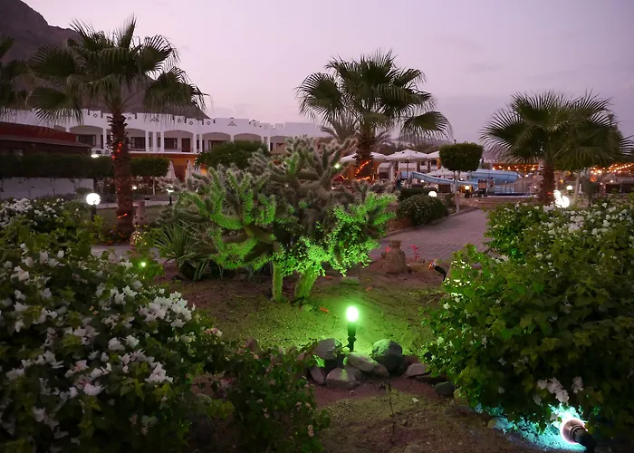Resort Happy Life Village 4*